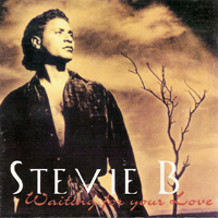 Stevie B (USA) - Waiting For Your Love