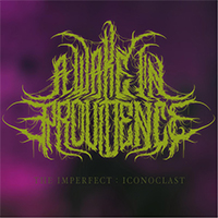 Wake In Providence - The Imperfect: Iconoclast (Single)