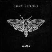 Drown In Sulphur - Moths (Single)