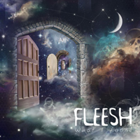 Fleesh - What I Found