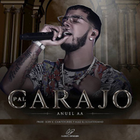 Anuel AA - Pal Carajo