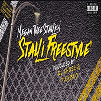 Megan Thee Stallion - Stalli (Freestyle) (Single)