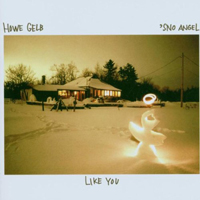 Howe Gelb - Sno Angel Like You