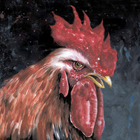 Kandinsky (DEU) - Magic Rooster Love
