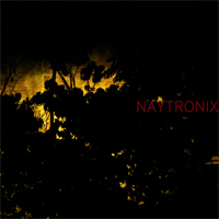 Naytronix - Naytronix (EP)