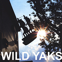 Wild Yaks - 10 Ships (Don't Die Yet)