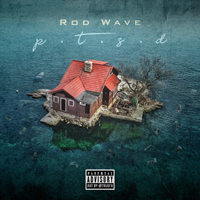 Wave, Rod - Ptsd