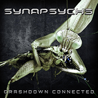 Synapsyche - Crashdown Connected