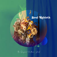 Original Northern Island - Soul Rebirth