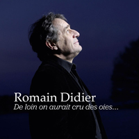 Romain Didier - De Loin On Aurait Cru Des Oies