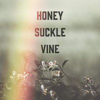Honey Suckle Vine - Honey Suckle Vine