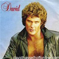 Hasselhoff, David - I Get The Message (Single)