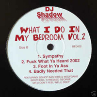 DJ Shadow - What I Do In My Bedroom, Vol. 2 (12''Single)