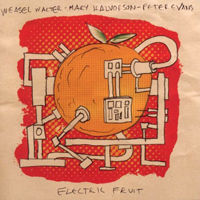 Weasel Walter - Weasel Walter, Mary Halvorson, Peter Evans - Electric Fruit