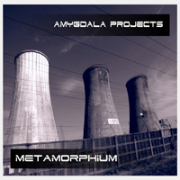 Amygdala Projects - Metamorphium
