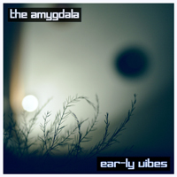 Amygdala Projects - Ear-Ly Vibes