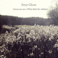 Stray Ghost - I Know You Are A White Bird (For Adeline) [Single]