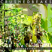 Crushed Beaks - Breakdown (Single)