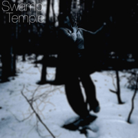 Swamp Temple - Sump Tinning