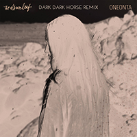 Album Leaf - Oneonta (Dark Dark Horse Remix)