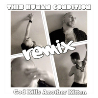 Fused (GBR) - God Kills Another Kitten (Fused Remix) (Single)