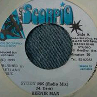 Beenie Man - Study Me (Single)