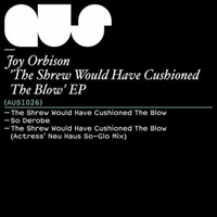 Joy Orbison - The Shrew Would Have Cushioned The Blow