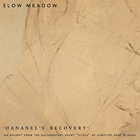 Slow Meadow - Hananel's Recovery (Single)