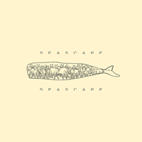 Billow - Seascape