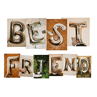 Rex Orange County - Best Friend (Single)