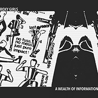 Roxy Girls - A Wealth Of Information (Single)