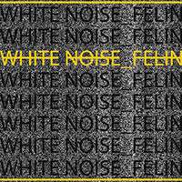Felin - White Noise (Single)