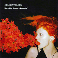 Birdeatsbaby - Here She Comes-A-Tumblin'