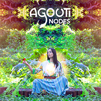 Agouti - Nodes
