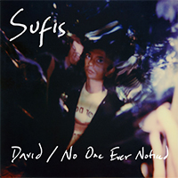 The Sufis - David / No One Ever Noticed (Single)