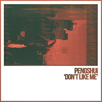 PENGSHUi - Don't Like Me (Single)