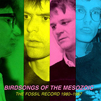 Birdsongs Of The Mesozoic - The Fossil Record 1980-1987