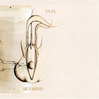 Taal - Skymind