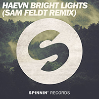 Haevn - Bright Lights (Sam Feldt Remix) (Single)