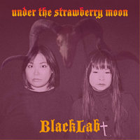 BlackLab - Under the Strawberry Moon