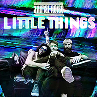 Animal Noise - Little Things (Single)