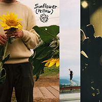 Have a Good Season - Sunflower (Yellow) (Single)
