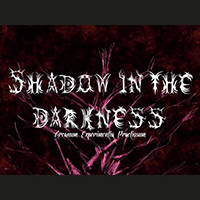 Shadow in the Darkness - Arcanum Experimentia Praetiosum (EP)
