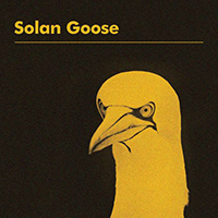 Cooper, Erland  - Solan Goose
