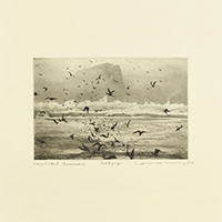 Cooper, Erland  - Murmuration (EP)