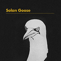 Cooper, Erland  - Solan Goose (Radio Edit Single