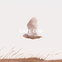 Sabella, Hayley  - Cape Cod (Single)