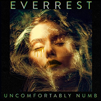Everrest - Uncomfortably Numb (Single)
