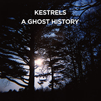 Kestrels - A Ghost History