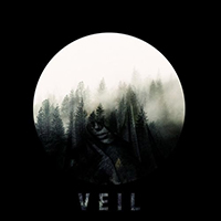 Chronoform - Veil (Single)
